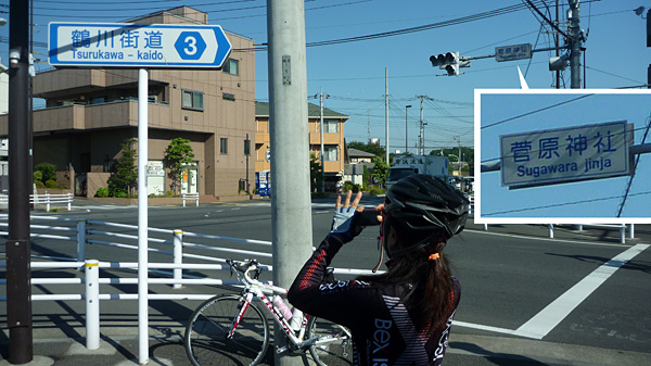e0089826_55519.jpg