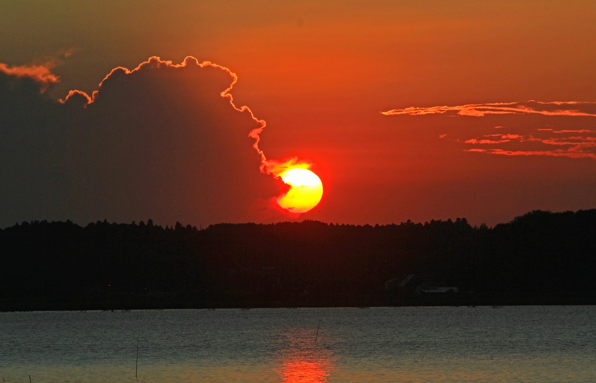c0104227_6574750.jpg