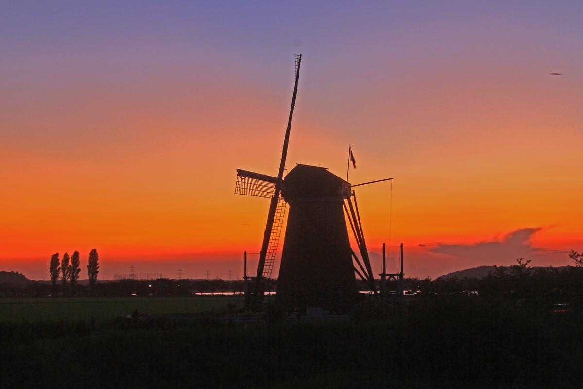 c0104227_701983.jpg