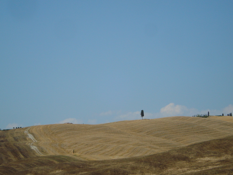 d0248528_2010205.jpg