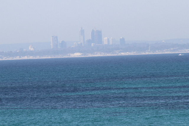 e0064133_916565.jpg