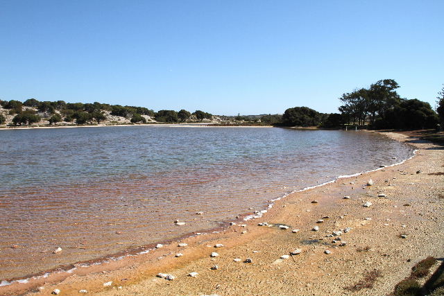 e0064133_917794.jpg