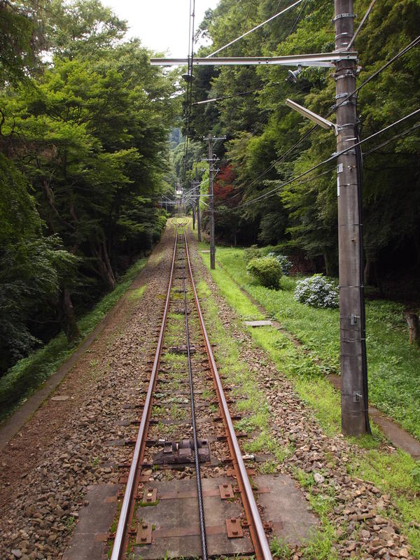 c0000134_2132638.jpg