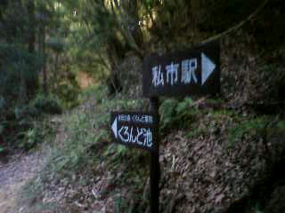 d0163834_3173351.jpg