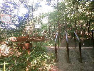 d0163834_33320100.jpg