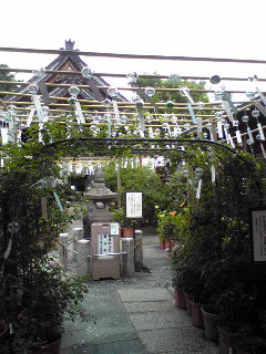 a0155838_17363754.jpg