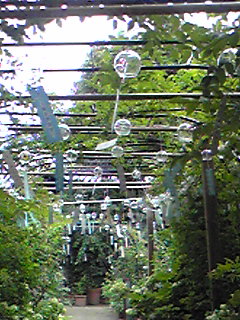 a0155838_1738329.jpg