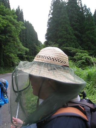 c0077338_783020.jpg