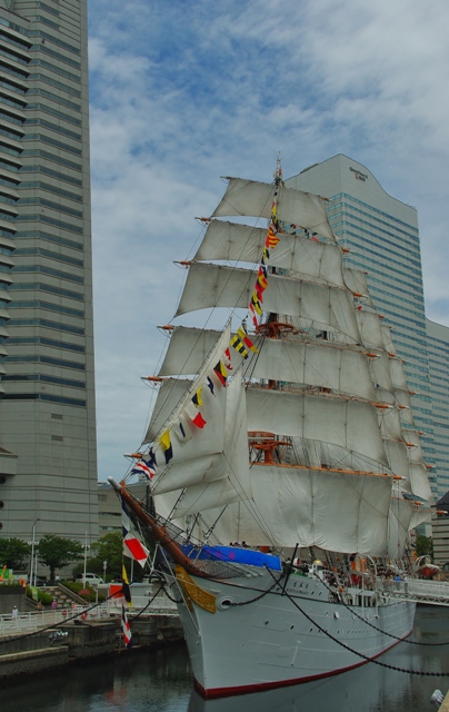 d0218238_1534476.jpg