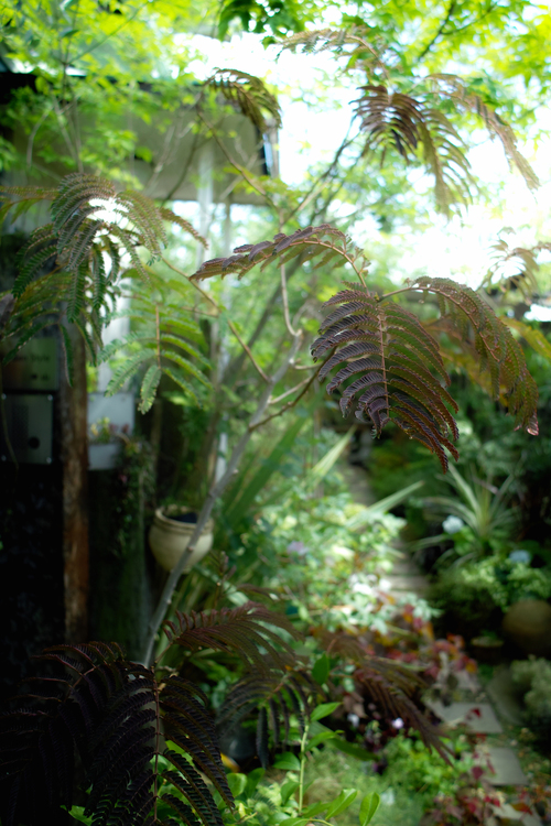 c0227239_1130674.jpg