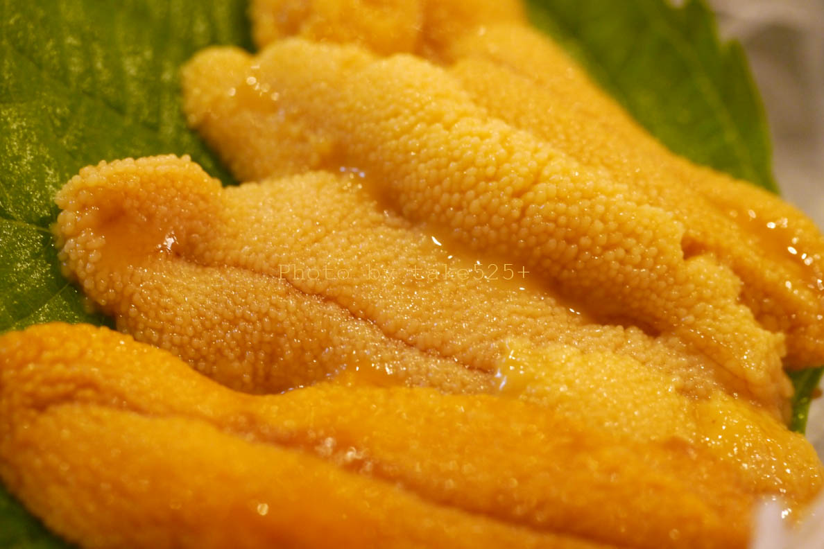 a0116946_231371.jpg