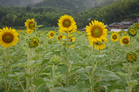 b0200747_22172989.jpg
