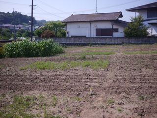 d0081650_2413736.jpg
