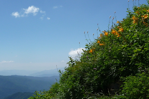 e0002850_7215147.jpg