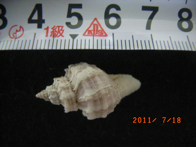 a0157451_20232948.jpg