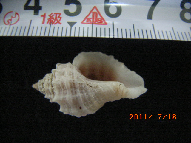 a0157451_20234249.jpg