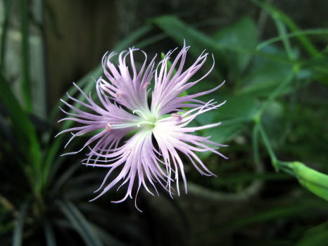 c0147952_21411540.jpg