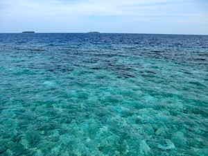 f0190653_20214169.jpg