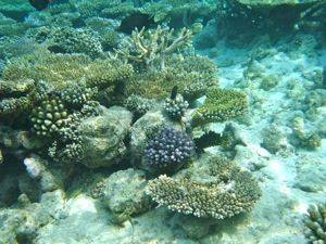 f0190653_20221323.jpg