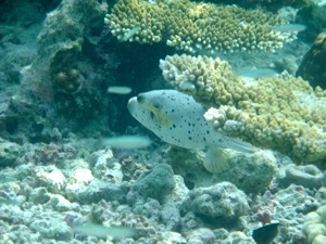 f0190653_2022250.jpg