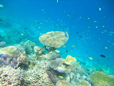 f0190653_2022297.jpg