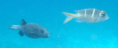 f0190653_20224333.gif