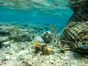 f0190653_2022810.jpg