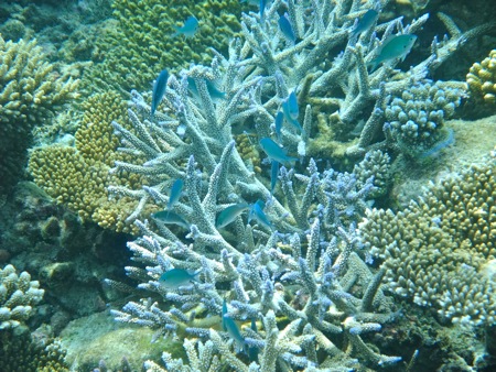 f0190653_20294117.jpg