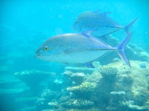 f0190653_20302289.jpg