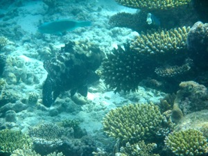f0190653_2030345.jpg