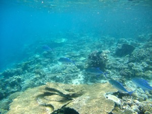 f0190653_20323510.jpg