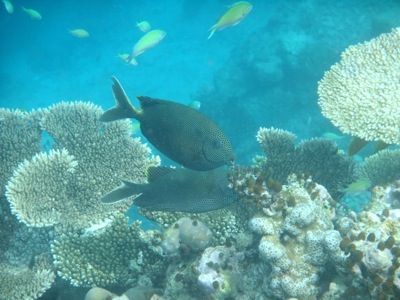 f0190653_20325170.jpg