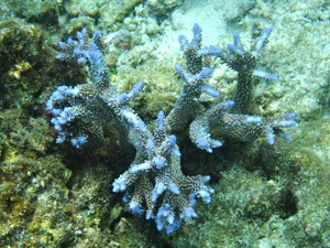 f0190653_20563134.gif