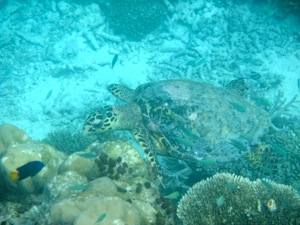 f0190653_20564794.jpg