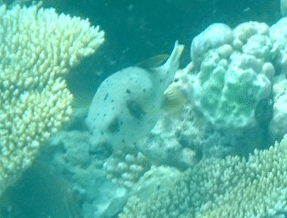 f0190653_20571171.gif