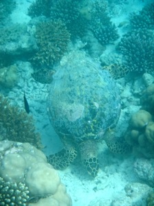 f0190653_2057337.jpg