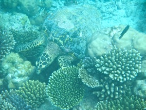 f0190653_20578100.jpg