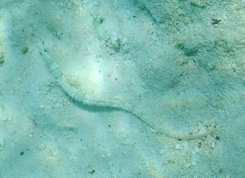 f0190653_20594086.gif