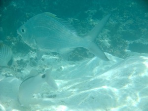 f0190653_2101978.jpg