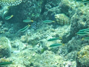 f0190653_2103370.jpg