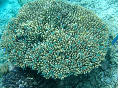 f0190653_210717.jpg