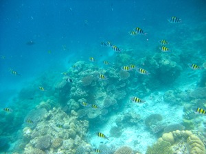 f0190653_2111925.jpg