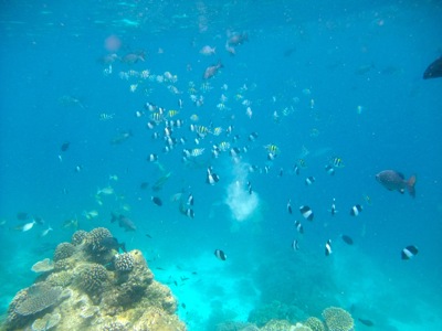 f0190653_2113465.jpg