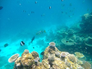 f0190653_211482.jpg