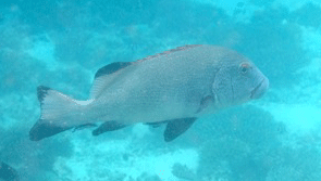 f0190653_212995.gif