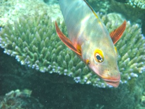 f0190653_21441985.jpg
