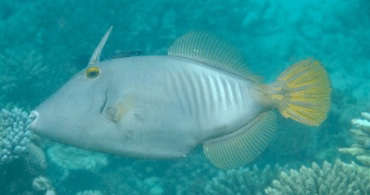 f0190653_21443114.gif