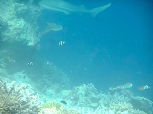 f0190653_21454377.jpg