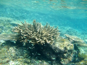 f0190653_21461058.jpg