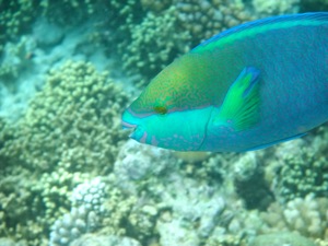 f0190653_21465270.jpg